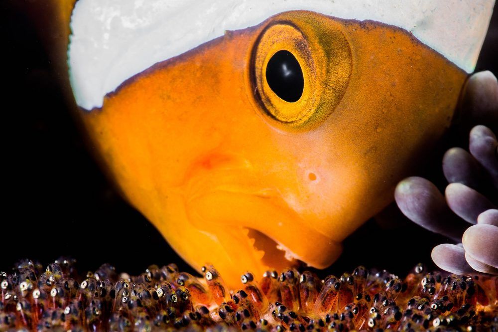 Photograph by Fanny Floirat Lohyer