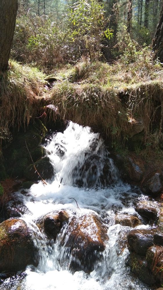 Photograph by Yeshi Choden