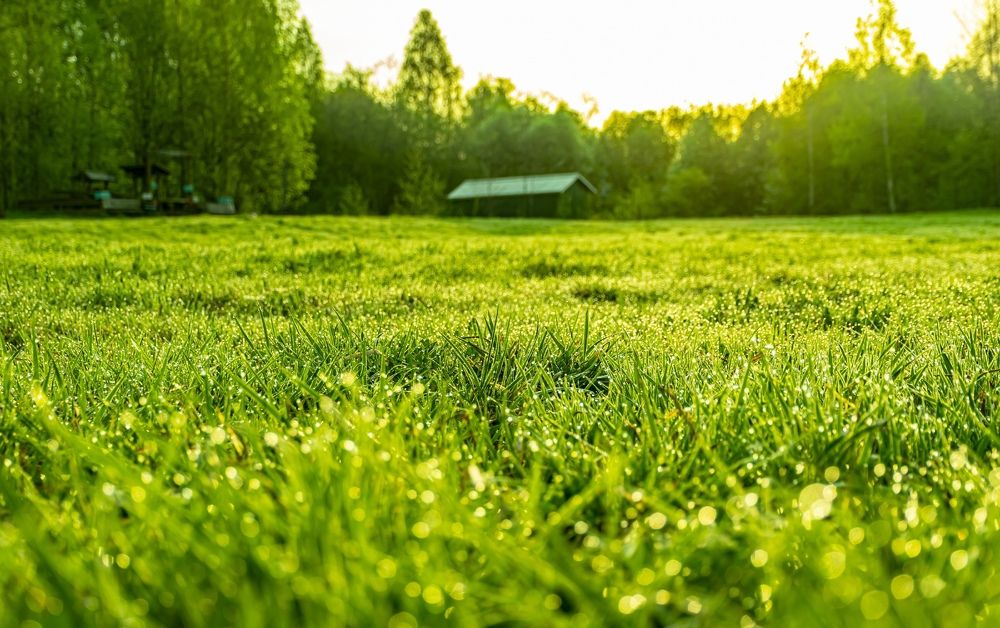 Photograph by Игорь Скорняков