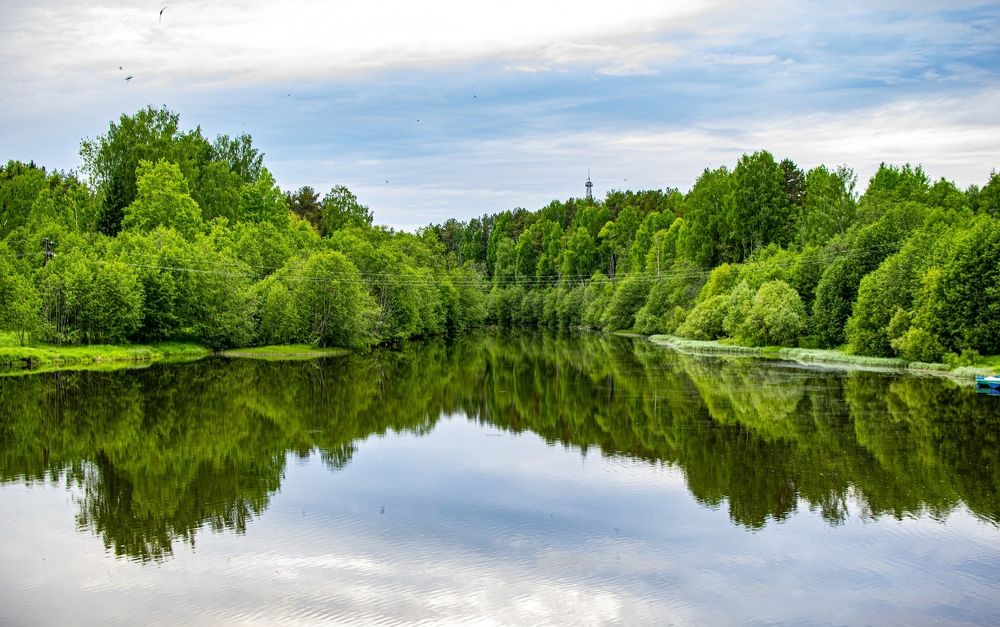 Река Ивкинка