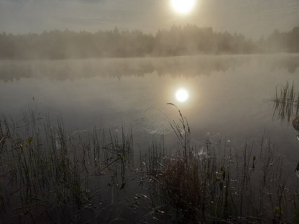 Photo #6147914