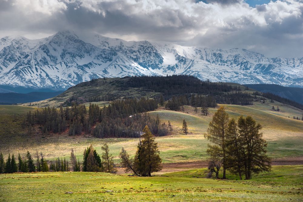 Северо-Чуйский хребет в мае