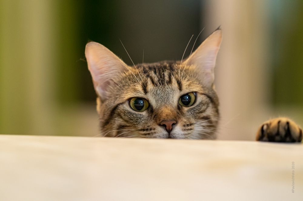 Photograph by Анатолий Павлович