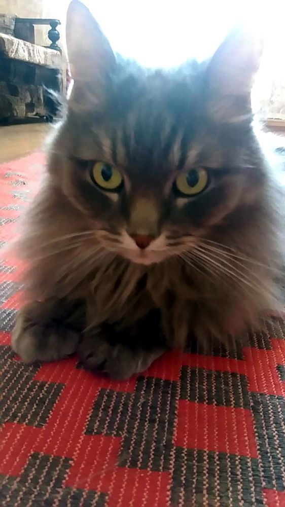 Photograph by Юрий Подвойский