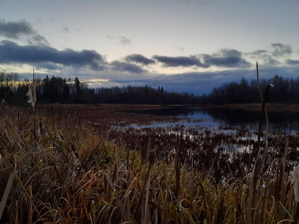 Photo #6148013