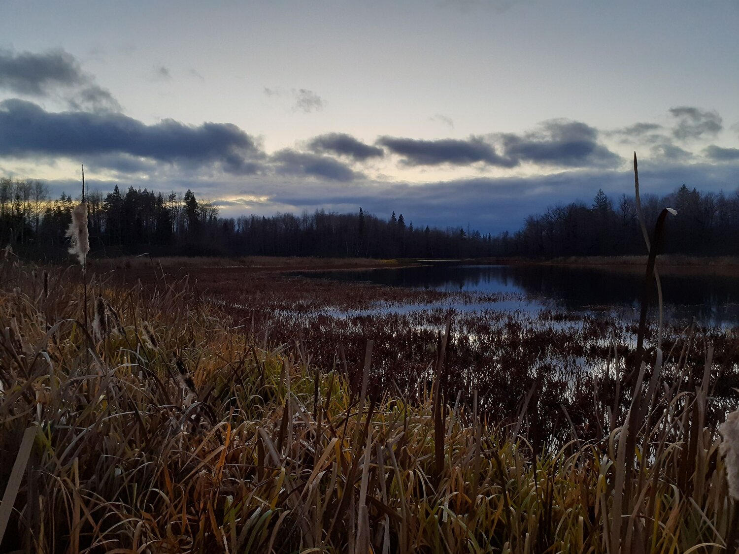 Photo #6148013