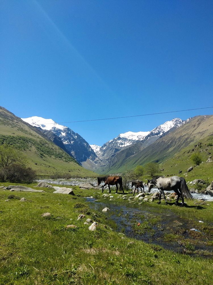 Photograph by Дмитрий Стрельцов