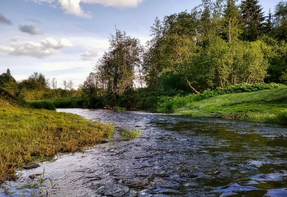 Photograph by Алексей Копылов