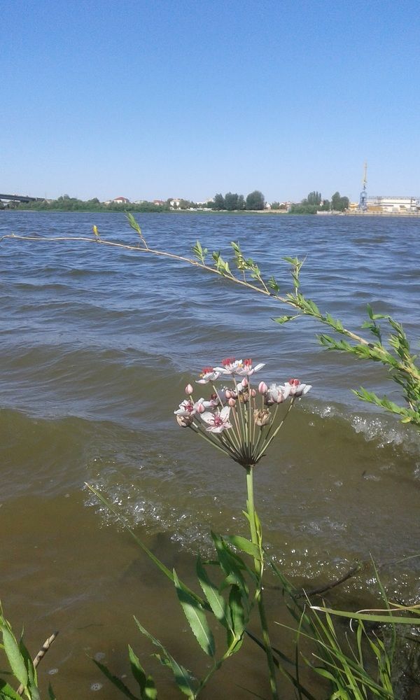 Photograph by Нина Паршина