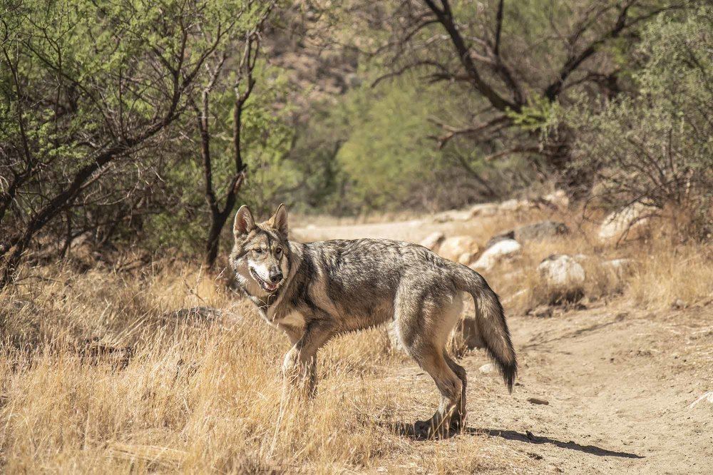 Photograph by Ivan Tamba