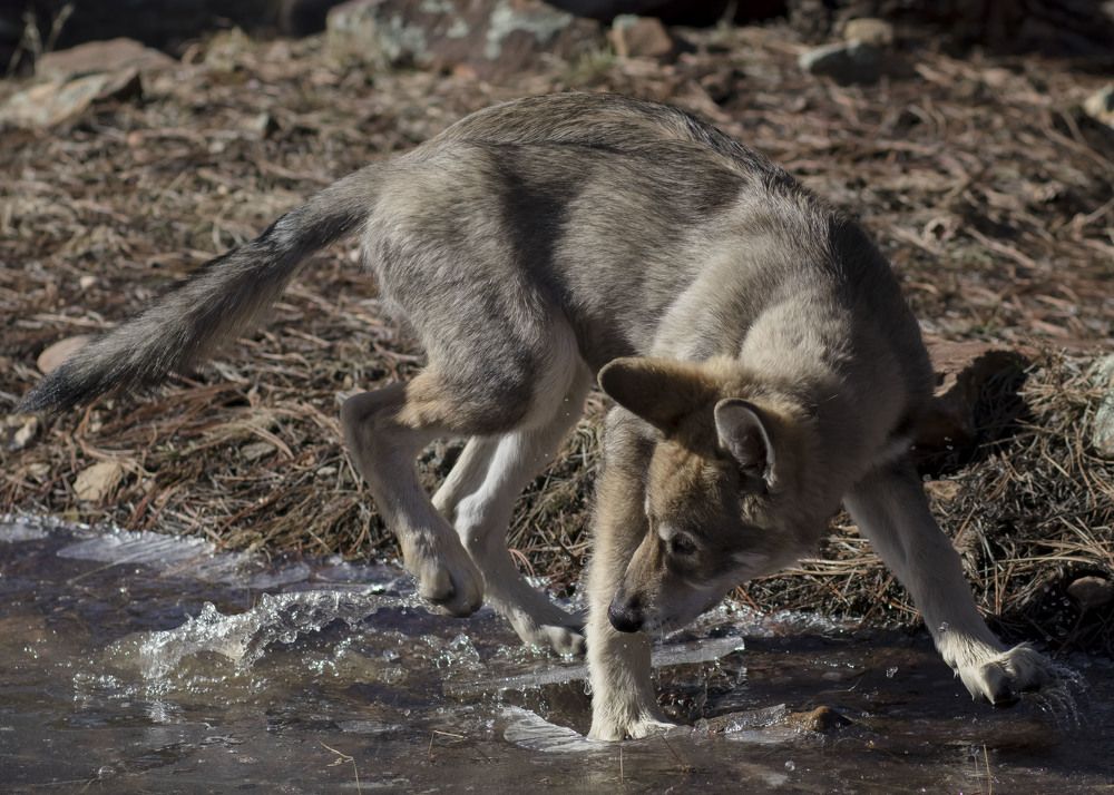 Photograph by Ivan Tamba