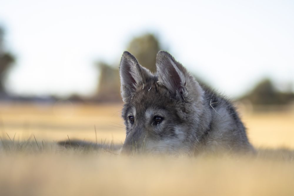 Photograph by Ivan Tamba