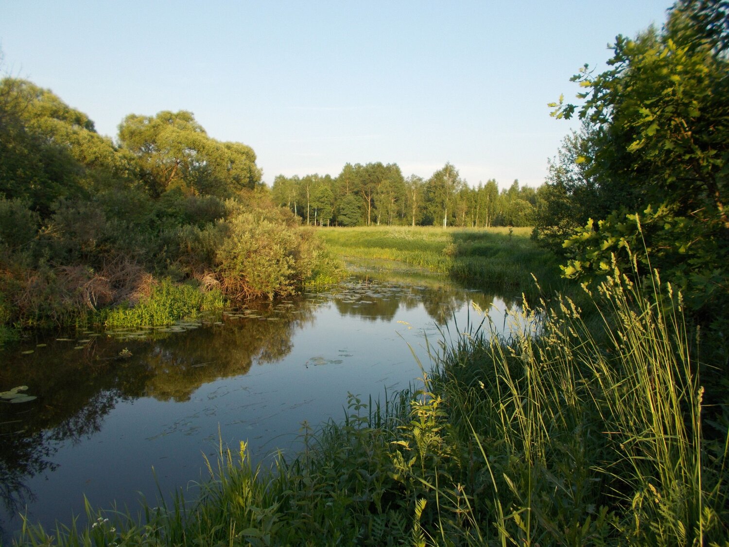 Photo #6148242