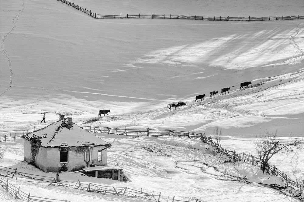 Photograph by Petya Lazarova