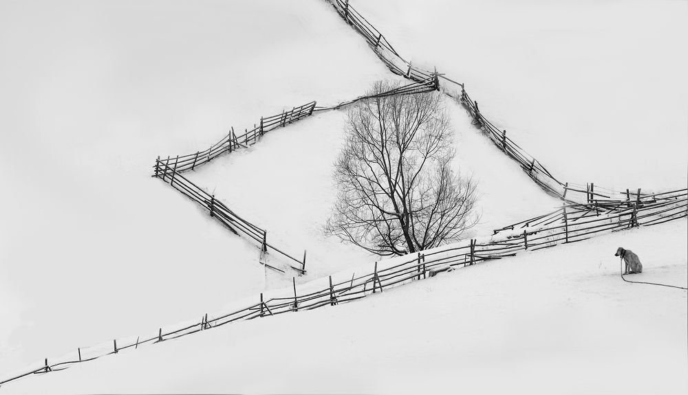 Photograph by Petya Lazarova