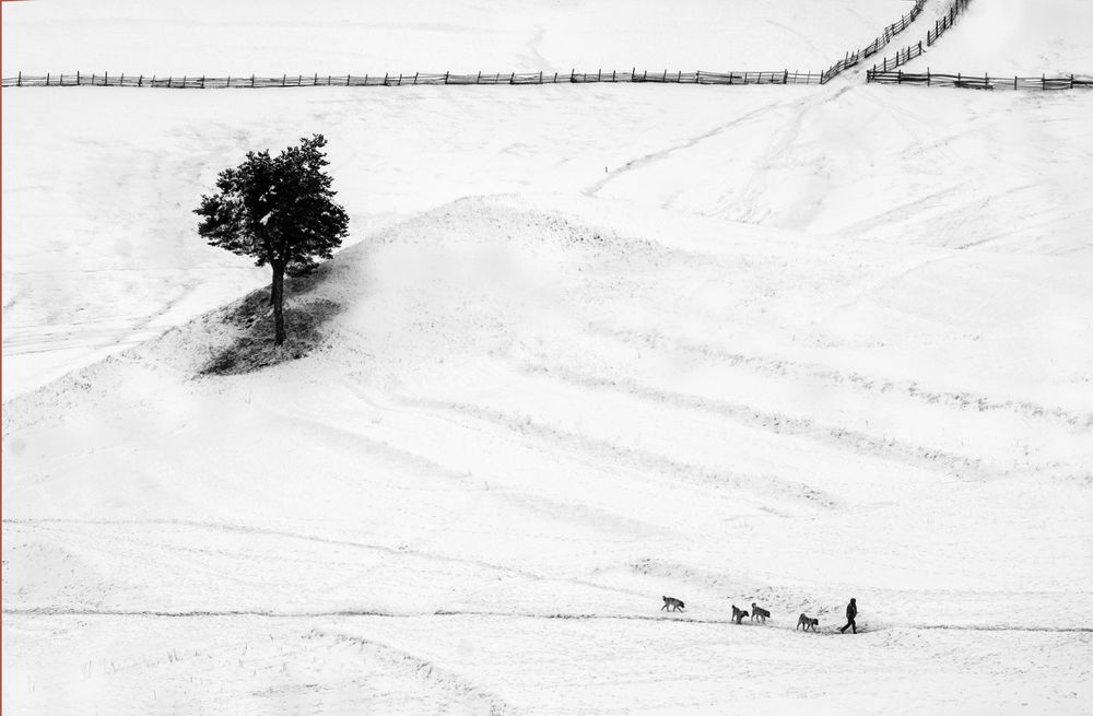 Photograph by Petya Lazarova