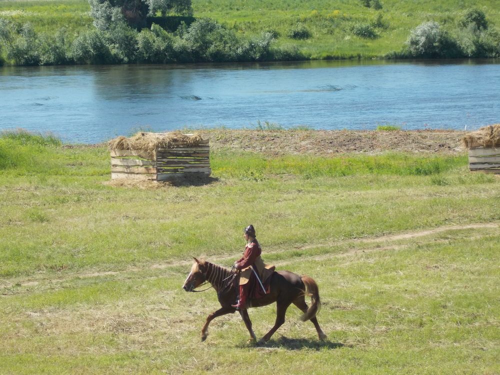 Photo #6148261