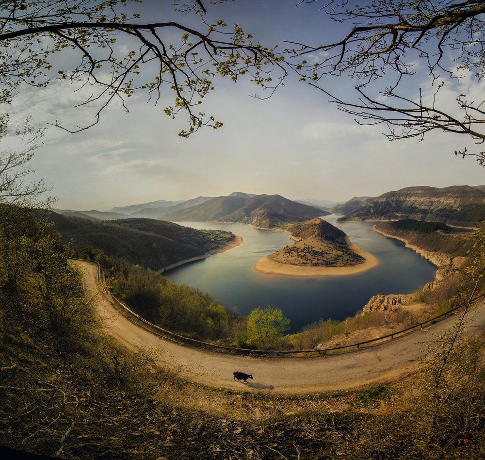 Photograph by Petya Lazarova