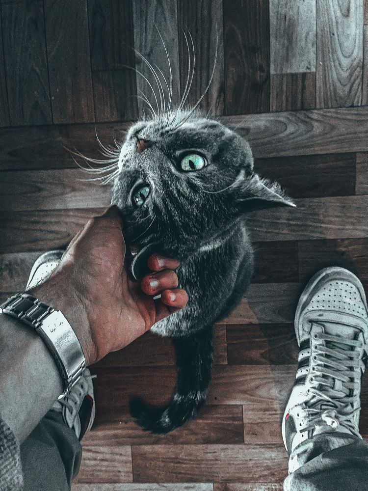 Photograph by Владислав Урдин