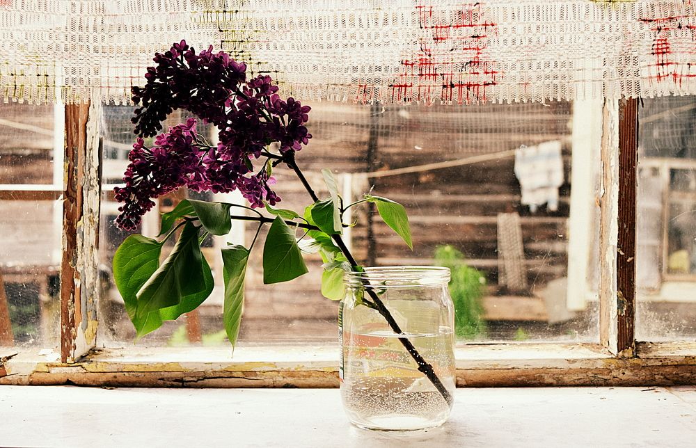 веточка сирени