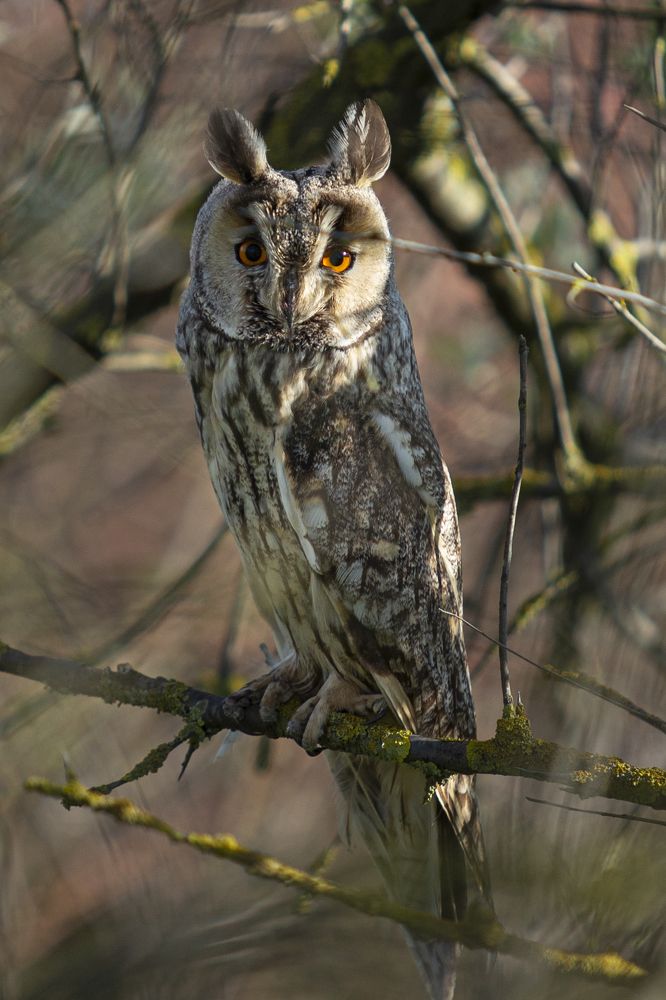 Photograph by Vladimir Soroka