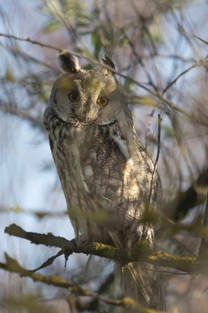 Photograph by Vladimir Soroka