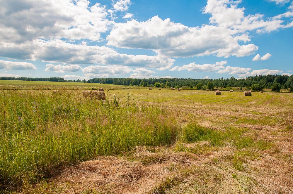 Photograph by Светлана Кузнецова