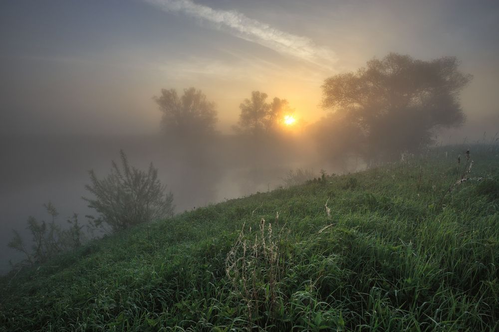 Разгоняя мглу