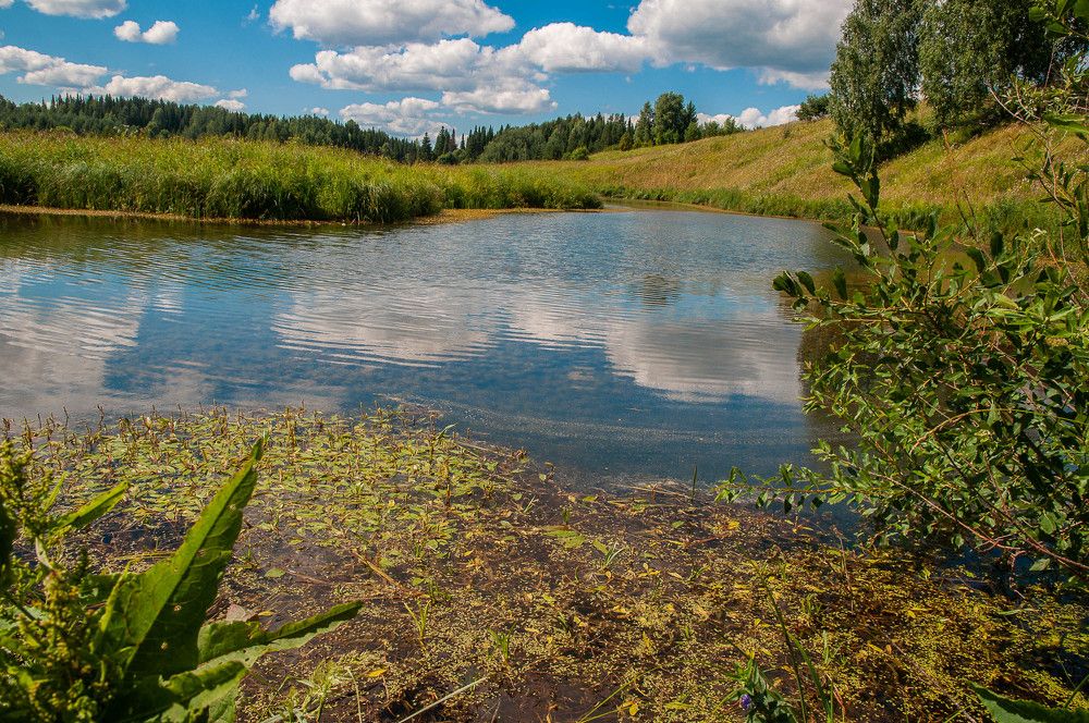 Photograph by Светлана Кузнецова
