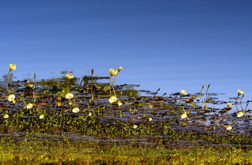 Photograph by Aldo Galante