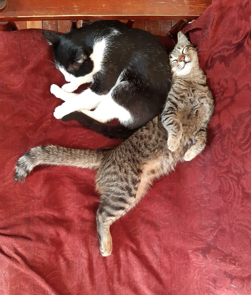 Photograph by Марина Рафаелян