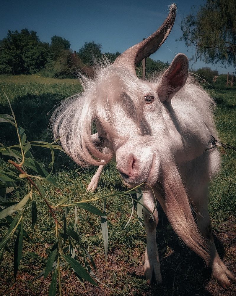 Photograph by Александр