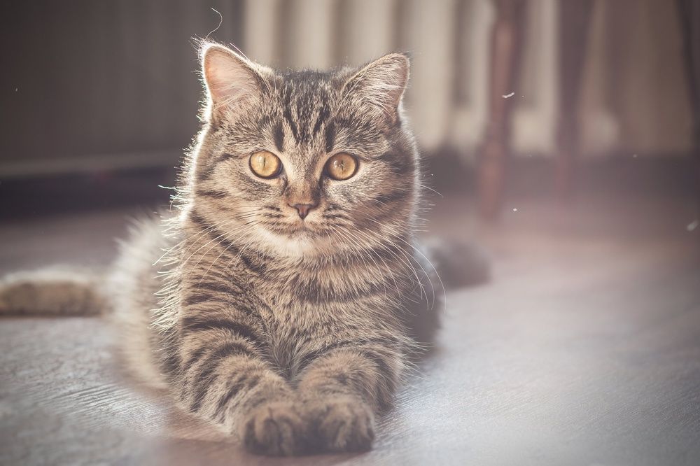 Photograph by Александр