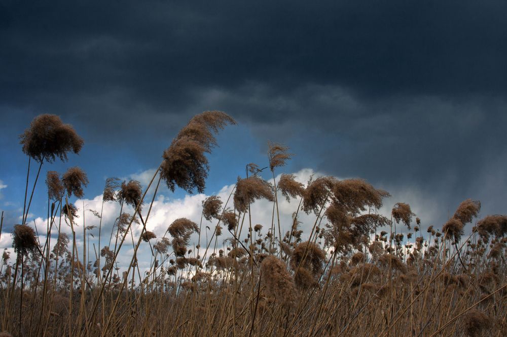 Photograph by Анна-Романа