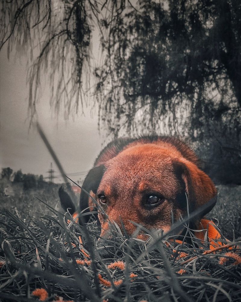 Photograph by Александр