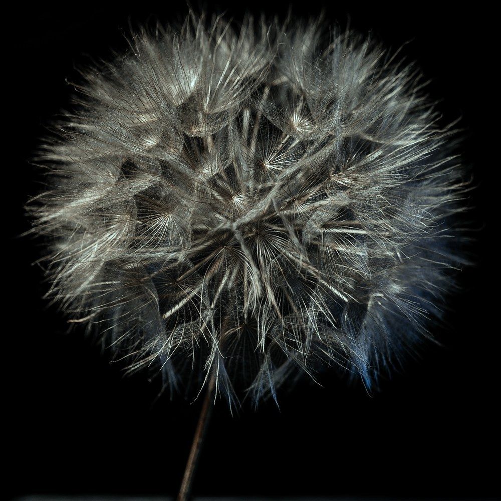 Photograph by SOTIRIS SARAFIS