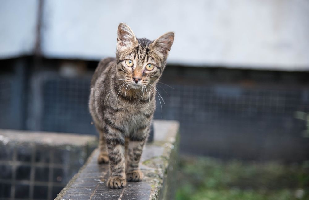 Photograph by Kirill Yakowlew