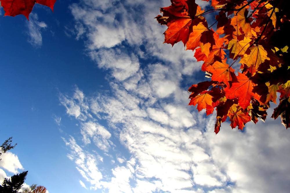 Photograph by Iveta Marcenoka