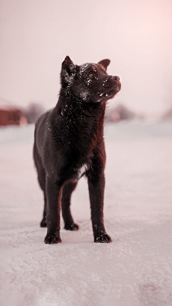 Фотография автора Эдуард Галеев