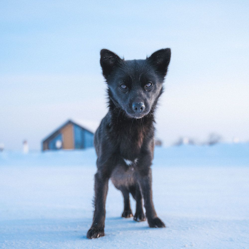 Фотография автора Эдуард Галеев
