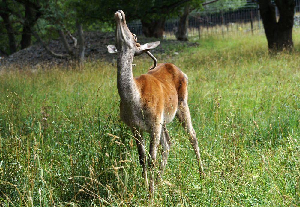 Photograph by Виктор Петров