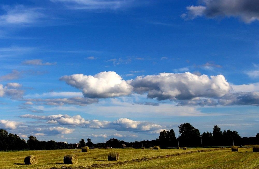 Photograph by Iveta Marcenoka