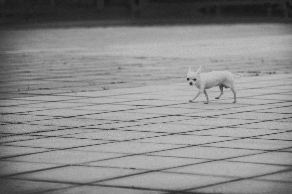 Photograph by Сергей Забиякин