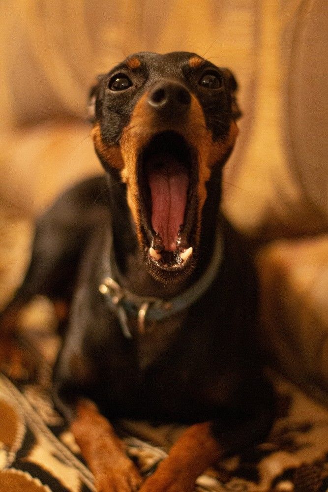 Photograph by Iveta Marcenoka