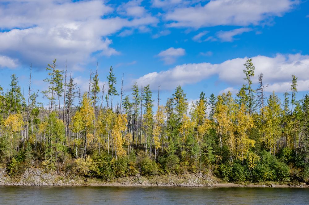 Photograph by Сергей Пашнов