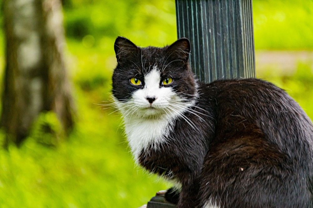 Photograph by Игорь Скорняков