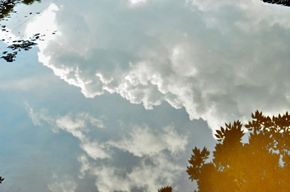 Photograph by Ольга Шевцова