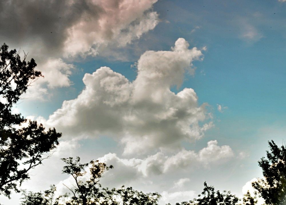 Photograph by Ольга Шевцова