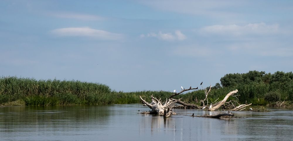 Photograph by Виктория Козинец