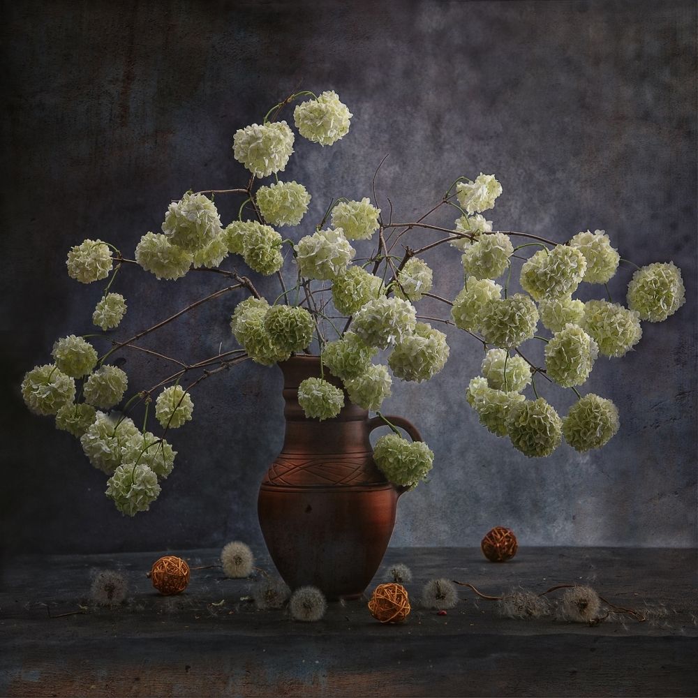 Шары Бульденеж